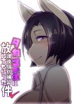  1girl breasts buried_frog dog female furry japanese purple_hair short_hair simple_background solo translation_request upper_body violet_eyes white_background 