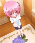  1girl animated animated_gif barefoot bike_shorts blush minato_tomoka pink_eyes pink_hair rou-kyuu-bu! 