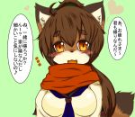  1girl artist_request brown_eyes brown_hair furry japanese open_mouth raccoon short_hair solo translation_request 