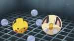 animated animated_gif ball meowth no_humans pikachu pokemon pokemon_(anime) 
