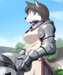  1girl armor artist_request black_hair blue_eyes breasts copyright_request dog female furry nature outdoors plant short_hair sky solo warrior 