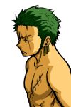  1boy green_hair male_focus one-eyed one_piece roronoa_zoro scar solo topless 