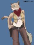  1girl artist_request cat copyright_request cowboy_hat female furry hat solo translation_request western 
