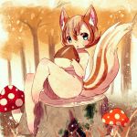  acorn androgynous artist_request brown_hair forest full_body furry green_eyes nature open_mouth outdoors plant short_hair solo squirrel 