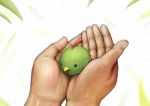  bird bird_on_hand hands hisakichi natu pokemon pokemon_(creature) realistic 