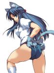  asakura_ryouko ass blue_hair buruma cat_ears hisahiko long_hair looking_back solo suzumiya_haruhi_no_yuuutsu tail 