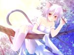  animal_ears blush branch cat_ears cat_tail catgirl cleavage lying purple_hair red_eyes short_hair tail thigh-highs 