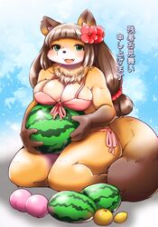  1girl beach bra brown_hair comiket_88 female furry gradient gradient_background hikimayu japanese_text long_hair raccoon setouchi_kurage sky solo summer translation_request underwear 