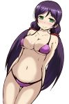  1girl bikini blush breasts cleavage erect_nipples green_eyes long_hair looking_at_viewer love_live!_school_idol_project navel purple_hair simple_background smile solo standing suzuhara_shima sweat swimsuit toujou_nozomi twintails 