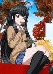  00s 1girl black_hair choushou_shifu female food ikkitousen long_hair official_art open_mouth very_long_hair 