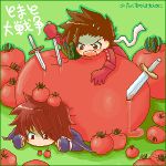  angry brown_hair kratos_aurion lloyd_irving redhead short_hair sword tales_of_(series) tales_of_symphonia tomato weapon 