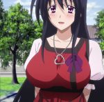  1girl black_hair breasts high_school_dxd himejima_akeno large_breasts long_hair stitched 