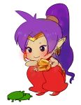  1girl artist_request blush earrings jewelry pointy_ears ponytail purple_hair shantae shantae_(character) turtle 