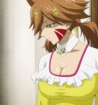  1girl breasts brown_hair fairy_tail female millianna screencap solo stitched 