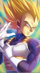  dragon_ball dragonball_z super_saiyan vegeta 