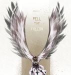  1boy alabasta character_name cloak feathered_wings headband jewelry male_focus necklace one_piece pell solo wings 