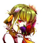  1girl ascot flower green_hair hair_flower hair_ornament highres itocoh kazami_yuuka lily_(flower) lily_of_the_valley plaid plaid_vest red_eyes rose short_hair solo touhou 