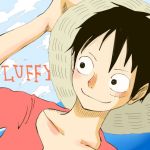  1boy black_hair character_name hat lowres male_focus monkey_d_luffy one_piece smile solo straw_hat 