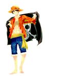  1boy crown flag hat jolly_roger male_focus monkey_d_luffy one_piece open_clothes open_shirt pirate pirate_flag red_shirt scar shirt smile solo standing straw_hat 