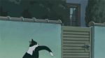  00s animal animated animated_gif bush cat neko_no_ongaeshi no_humans studio_ghibli 