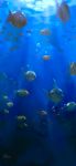  blue bubble fish hamster highres light ocean original saskia_gutekunst scenery signature swimming underwater water 