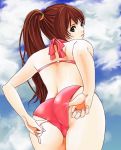  ass bikini brown_eyes brown_hair dead_or_alive hybrid_cat kasumi long_hair ponytail swimsuit 