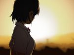  guntank_(artist) guntank_(pixiv76975) looking_away school_uniform schoolgirl short_hair twilight 