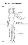  anatomy chart how_to moe monochrome translation_request 