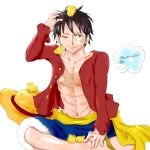  1boy black_hair hat indian_style male_focus monkey_d_luffy one_piece red_shirt sash scar shirt shorts sitting solo straw_hat 