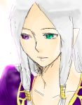  1girl braid fire_emblem fire_emblem:_fuuin_no_tsurugi green_eyes heterochromia idoun oekaki silver_hair violet_eyes 