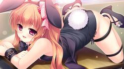  1girl animal_ears ass bare_shoulders bdsm bondage bound bow bowtie breast_press breasts bunny_girl bunny_paradise_~koibito_zenin_bani-ka_keikaku~ bunnysuit fake_animal_ears feet game_cg highres hinata_mutsuki legs long_hair looking_at_viewer lying on_stomach open_mouth orange_hair pink_eyes rabbit_ears sakurabashi_yuria shoes smile solo sweat table tail thighs 