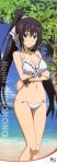  1girl absurdres bikini breast_hold breasts cleavage hashimoto_takayoshi highres infinite_stratos shinonono_houki swimsuit tall_image 