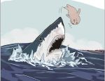  airborne animal fish momings ocean open_mouth seal shark sky teeth water wave 