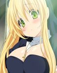  blonde_hair blush breasts cross green_eyes large_breasts long_hair looking_at_viewer love_colon nun screencap stitched 