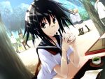  3girls bandaid black_hair doughnut food game_cg happy kawagishi_keitarou looking_at_viewer maji_de_watashi_ni_koi_shinasai! multiple_girls ootomo_homura park school_uniform short_hair sitting skirt smile standing sunlight table tea tree walking yellow_eyes 