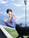  1boy blue_sky cat child grass japanese male_focus original outdoors realistic sitting sky solo summer to1989 