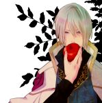  1boy akagami_no_shirayukihime apple blonde_hair blue_eyes brothers cape eating food fruit izana_wistalia looking_at_viewer male_focus platinum_blonde pov prince red_apple siblings solo zen_wistalia 