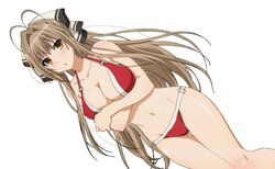  1girl amagi_brilliant_park antenna_hair bare_shoulders bikini black_eyes blush breast_hold breasts brown_hair cleavage hair_ribbon large_breasts long_hair navel o-ring_bottom o-ring_top official_art ponytail red_bikini ribbon sento_isuzu shiny shiny_skin simple_background solo standing swimsuit thighs white_background yellow_eyes 