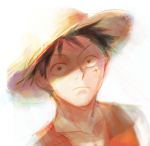  1boy hat looking_at_viewer male_focus monkey_d_luffy one_piece red_vest shadowed_eyes solo straw_hat yamsong 
