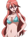  1girl akame_ga_kill! bikini breasts brown_hair candy chelsea_(akame_ga_kill!) cleavage lollipop long_hair open_mouth red_eyes simple_background smile standing stitched swimsuit white_background 