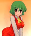  breast_squeeze breasts curvy green_hair impossible_clothes impossible_vest kazami_yuuka kyokutou_hentai_samurai large_breasts leaning_forward red_eyes short_hair skirt skirt_set smile touhou v_arms vest 