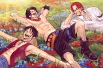  3boys amputee arisue_kanako brothers field flower freckles hat lying monkey_d_luffy multiple_boys on_back one_piece open_clothes open_shirt outstretched_arms portgas_d_ace redhead shanks shirt shorts siblings smile spread_arms vest 