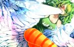  1374597 1girl breasts cleavage closed_eyes donquixote_pirates green_hair harpy long_hair monet_(one_piece) monster_girl one_piece solo striped striped_legwear wings 