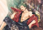  1boy abs alcohol animal_ears bottle drink earrings green_hair highres jewelry male_focus one-eyed one_piece open_clothes roronoa_zoro sake saucer scabbard scar sheath sitting solo sword tail tiger_ears weapon yuu_(1969loy) 