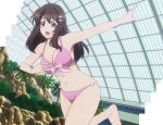  1girl bikini breasts brown_hair cleavage highres niimi_haruka photokano screencap solo standing swimsuit tagme 