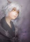  androgynous animal_ears bad_id cat_ears hunter_x_hunter miche nefelpitou neferpitou nose silver_hair solo yellow_eyes 