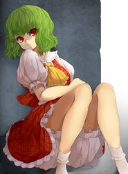  1girl ascot bloomers female green_hair hukasikasi kazami_yuuka plaid plaid_skirt plaid_vest red_eyes short_hair skirt solo touhou underwear 