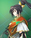  1girl black_hair colmack from_side green_background long_hair ponytail rance_(series) red_eyes sengoku_rance serious solo very_long_hair yamamoto_isoroku_(rance) 