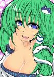 1girl bare_shoulders blue_eyes blush breasts cleavage female green_hair hair_ornament kochiya_sanae large_breasts looking_at_viewer open_mouth sketch smile solo touhou wakura_(gcdan) 