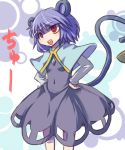  blue_hair hakika mouse_ears mouse_tail nazrin red_eyes tail touhou 